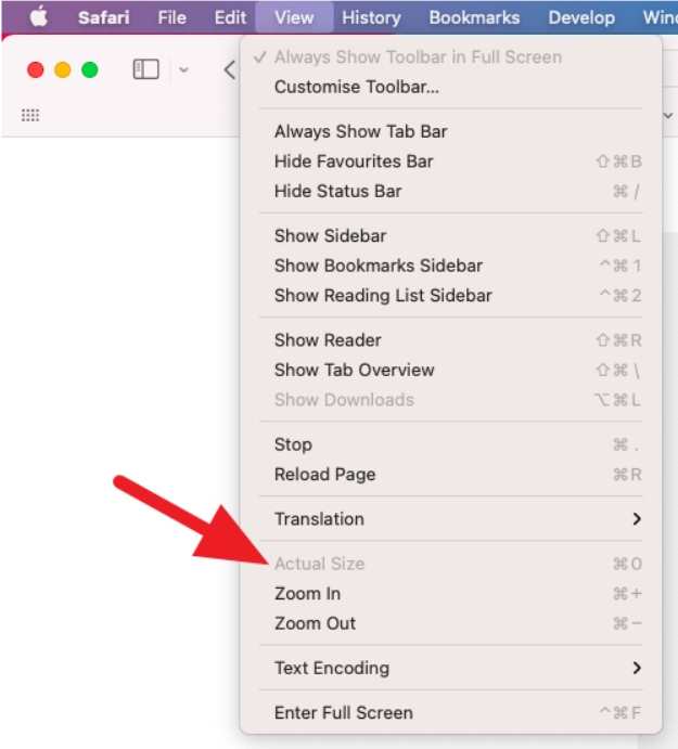 text zoom setting on the BAR Publishing app